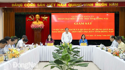 Đoàn Đại biểu Quốc hội tỉnh giám sát công tác quy hoạch, quản lý và sử dụng đất giai đoạn 2021-2025