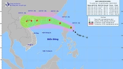Chuyên gia cảnh báo: Khi vào biển Đông thành bão số 3, bão Wipha còn mạnh hơn, gây mưa trên đất liền trên 500mm