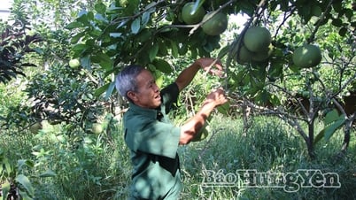 La volonté de Do Dinh Chien, victime de l'agent orange