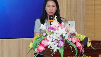 Hướng dẫn quy trình nhập khẩu hàng hoá có nguy cơ mất an toàn cao cho doanh nghiệp Tây Hải Phòng