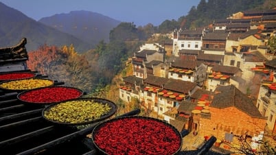 Ngôi làng trên núi ở Việt Nam vào top đẹp nhất châu Á