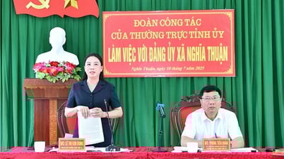 Comrade Le Thi Kim Dung, Standing Deputy Secretary of the Provincial Party Committee, worked with the Party Committee of Nghia Thuan commune.