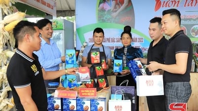 Sơn La tổ chức bình chọn sản phẩm công nghiệp nông thôn tiêu biểu tỉnh năm 2025