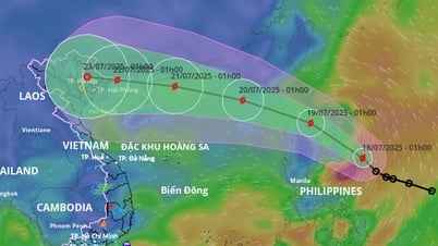 Monitor the development of tropical depression near the East Sea to proactively respond