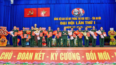 Đảng bộ Ban Chỉ huy Phòng thủ khu vực 3 - Tân An Hội, Bộ tư lệnh TP Hồ Chí Minh tổ chức Đại hội lần thứ I