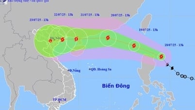 Bão Wipha có nhiều nét tương đồng bão Yagi, đổ bộ với cấp độ mạnh