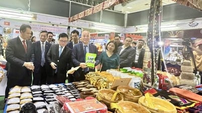 Expanding the market, promoting the strengths of Vietnam and Laos