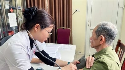 Kỷ niệm 75 năm Ngày truyền thống lực lượng TNXP Việt Nam (15/7/1950 - 15/7/2025)