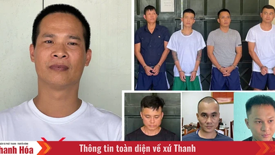 Tạm giữ hình sự 8 đối tượng trong băng, ổ nhóm tội phạm do Bùi Quốc Ý cầm đầu