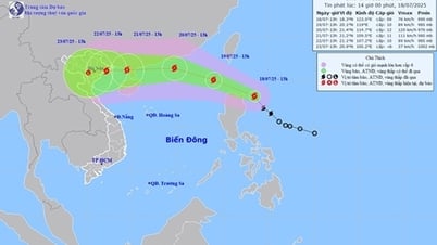 Bão số 3 Wipha có khả năng mạnh thêm, cảnh báo gây mưa lớn ở Bắc Bộ