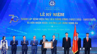 Thúc đẩy những đột phá công nghệ trong y học bào thai và chăm sóc sơ sinh