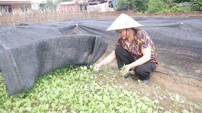 Xua tan “cơn khát” vốn