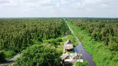 Bàn giải pháp vận hành thử nghiệm thị trường carbon tại Việt Nam