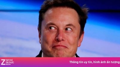 Elon Musk cũng ‘hóng drama’ CEO công ty tỷ USD ngoại tình
