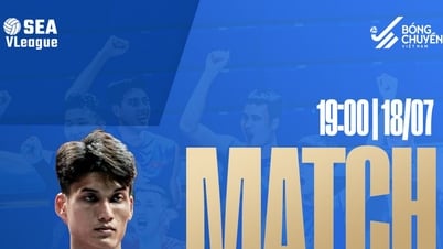 Link xem trực tiếp bóng chuyền nam Việt Nam và Thái Lan,...