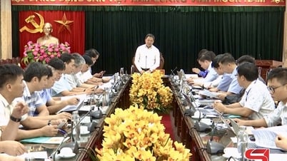 Đảm bảo tiến độ thực hiện Dự án cao tốc Hòa Bình - Mộc Châu
