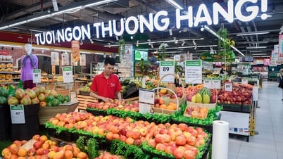 Masan: 4 năm liên tiếp vào top 50 doanh nghiệp phát triển bền vững tiêu biểu Việt Nam