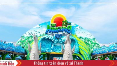 Khám phá công viên nước Amazing Bay với ưu đãi hấp dẫn trên Traveloka