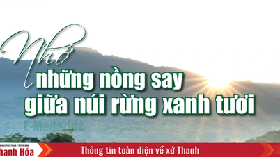 [E-Magazine]: Nhớ những nồng say giữa núi rừng xanh tươi