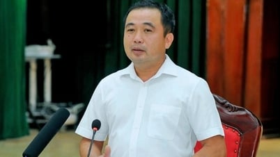 Thủ tướng giao quyền Bộ trưởng Bộ Nông nghiệp và Môi trường