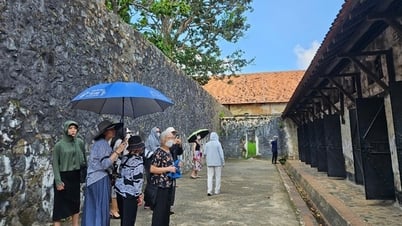Tình trạng đầu cơ phòng ở Côn Đảo và ảnh hưởng đến du lịch kinh tế