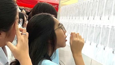 Điểm sàn nhiều trường đại học lớn ở TP.HCM thấp bất ngờ, có ngành giảm 7 điểm