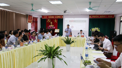 Rà soát thực trạng công tác y tế tỉnh Lào Cai, đề xuất đầu tư phát triển giai đoạn 2026 - 2030