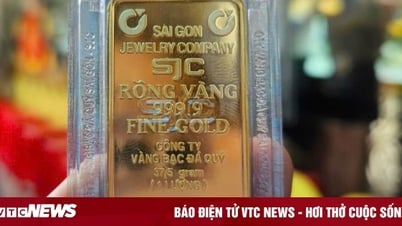 Đề xuất triển khai mô hình 'tài khoản vàng'