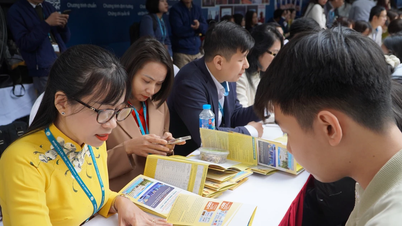 Đăng ký, điều chỉnh, bổ sung nguyện vọng xét tuyển: Cần 'chiến thuật' hợp lý