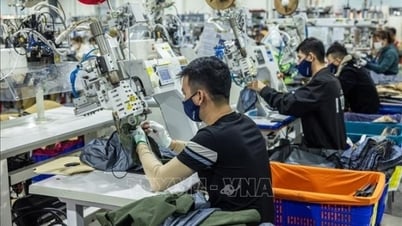 Kinh tế Việt Nam năm 2025: Tăng trưởng GDP 8,3-8,5% tạo thế và lực mới