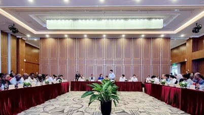 Tổ chức FAO tìm hiểu mô hình phát triển sản phẩm OCOP tại Ninh Bình