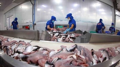 Cảnh báo sớm bảo vệ hàng xuất khẩu
