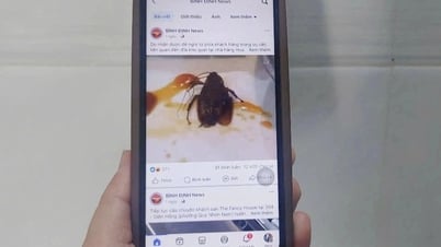 Xác minh thông tin gián xuất hiện trong món ăn tại nhà hàng
