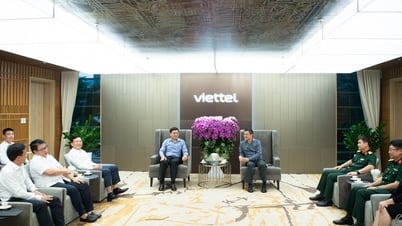 Lâm Đồng là tỉnh đầu tiên làm việc với Viettel về chuyển đổi số sau khi sáp nhập