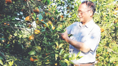 Gieo trái ngọt hữu cơ giữa đại ngàn