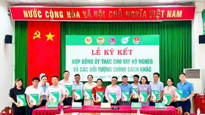 Chi nhánh Ngân hàng Chính sách xã hội tỉnh Gia Lai ký kết hợp đồng ủy thác với các hội, đoàn thể