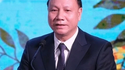 Chuyên gia dự báo: Điểm chuẩn có thể giảm 2–3 điểm, nhưng chưa chắc dễ đậu