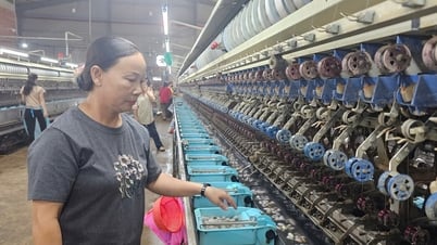 Gieo “mầm lụa” trên vùng đất khó