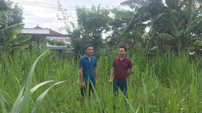 Về đơn tố cáo của ông Dương Viết Vương trú tại xã Hòa Trạch cũ: Cần xử lý dứt điểm
