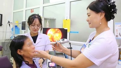 Hãi hùng phát hiện 7 con giòi trong hốc mũi của nữ bệnh nhân 60 tuổi