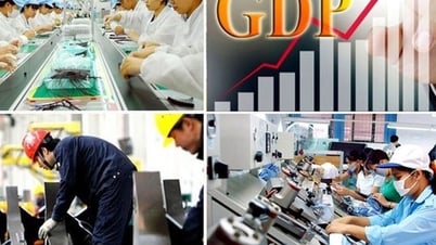 Nâng tầm doanh nghiệp Nhà nước: Động lực mới cho kinh tế Việt Nam