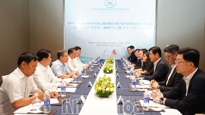 Phó Chủ tịch UBND tỉnh Trần Hòa Nam làm việc với Tập đoàn HD Huyndai