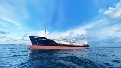 GAS Shipping (GSP) dự định phát hành cổ phiếu trả cổ tức với tỉ lệ 10%