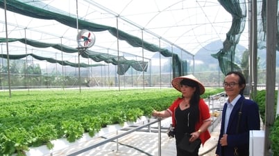 Để đạt chỉ tiêu tăng trưởng ngành nông nghiệp