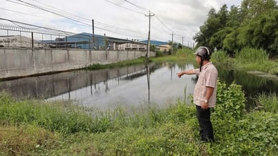 Người dân phản ánh hoạt động sản xuất của một doanh nghiệp gây ảnh hưởng đến đời sống