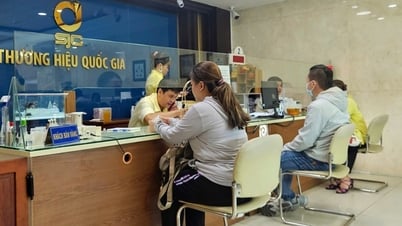 Giá vàng thế giới biến động mạnh, vì sao giá vàng miếng SJC, vàng nhẫn chưa giảm?