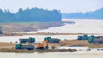 Đà Nẵng rà soát tình trạng "thổi" giá cát xây dựng
