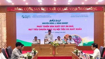 Cả nước trồng hơn 1,3 triệu ha cây ăn quả