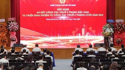 Thuế TP.HCM thu ngân sách tăng gần 10% nửa đầu năm 2025
