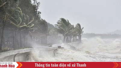 Áp thấp nhiệt đới có thể mạnh lên thành bão, Thanh Hóa sẽ mưa lớn